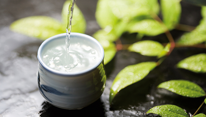 五粮液,白酒,上市公司