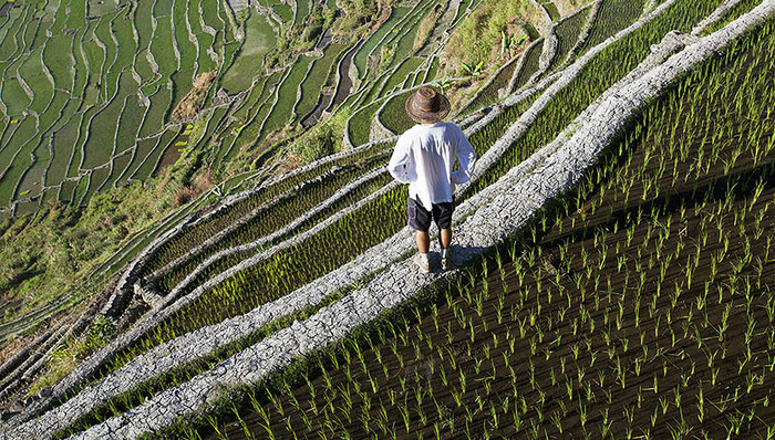 李宗印,扶贫攻坚,扶贫政策,光伏发电,蹲点,腊肉,村干部,母羊,手术,卫生室