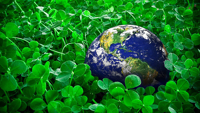 生态环境损害,生态文明,生态环境保护,中共中央政治局,人民群众,生态环境问题,自然恢复,资产管理体制