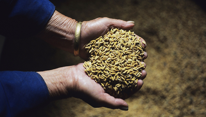 时政,矩阵,精选,登录,地图,快讯