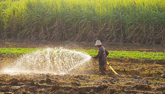 水窖,沟底,麻黄,黄河水,苦咸水,宁夏盐池县,山乡,水坑镇,供水点,沿沟