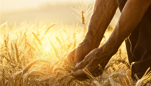 中国纪检监察报,农民儿子,贪腐几率