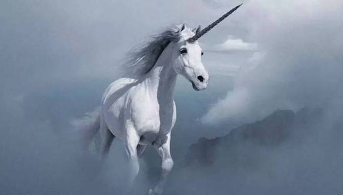 独角兽，Dropbox,,Automattic,,Evernote,,Age,of,Learning