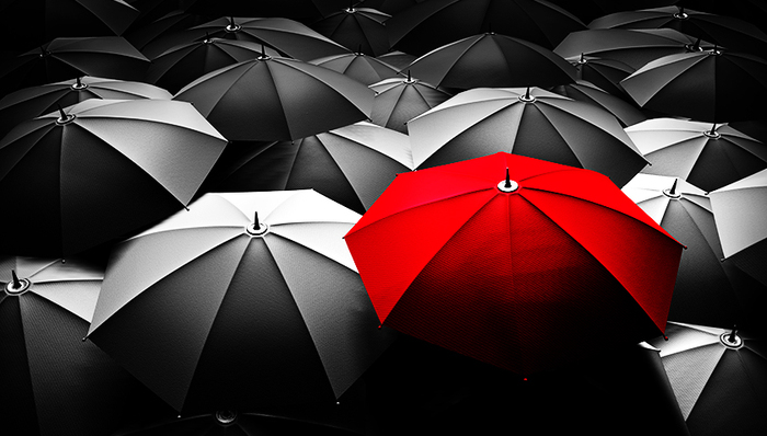 基金,投资风向标,理财红黑榜