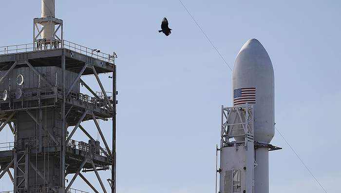 SpaceX成功将回收货运飞船“龙”送上国际空间站