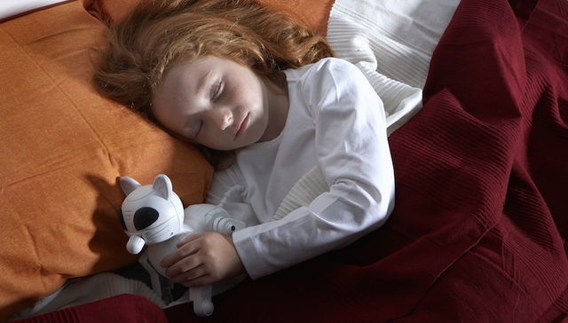 家庭陪伴式机器人囧境：AI很热，资本很冷，落地场景难求证