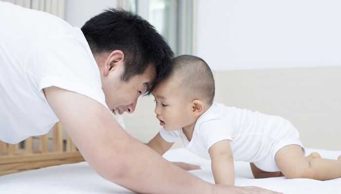 奶爸,产假,高速,开车玩手机,电信诈骗,中央纪委,分家,闺女分房产,天价商品,民告官
