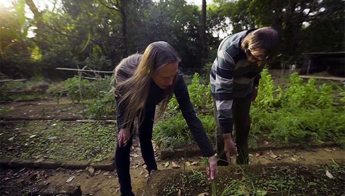 环保,公益,森林,动物,濒危
