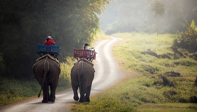 驴妈妈创始人洪清华：未来旅游业IP战将取代价格战