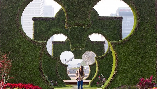 全球迪士尼乐园十年来首次游客数量减少