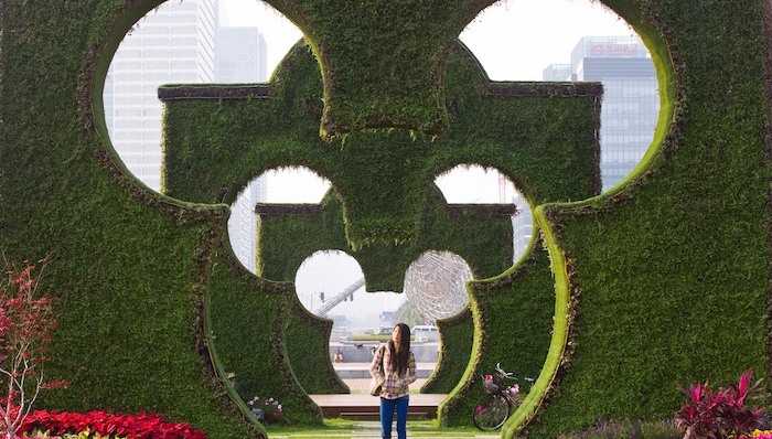 全球迪士尼乐园十年来首次游客数量减少