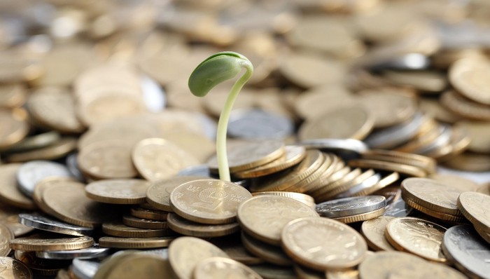 ST,德力,施卫东,增持,退市风险,兜底,公司股票,股权质押,停牌,净利润亏损