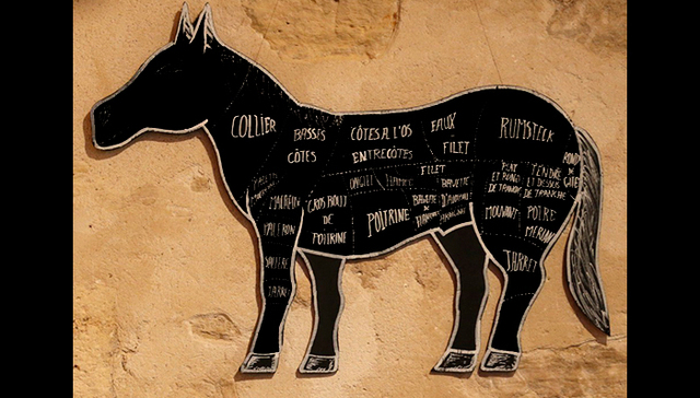 美国,,马肉,,特朗普