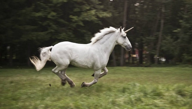 独角兽,谷歌,股票清算,FireEye,Tableau,Android,Tumblr,NVCA,俱乐