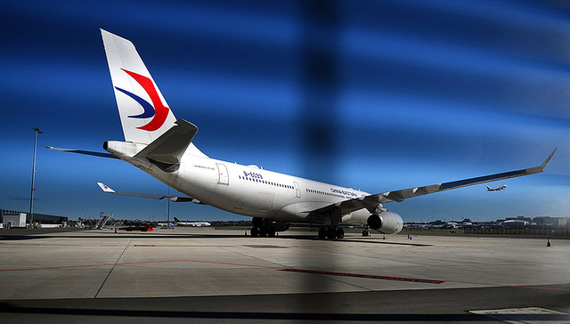 金毛犬惨死事件