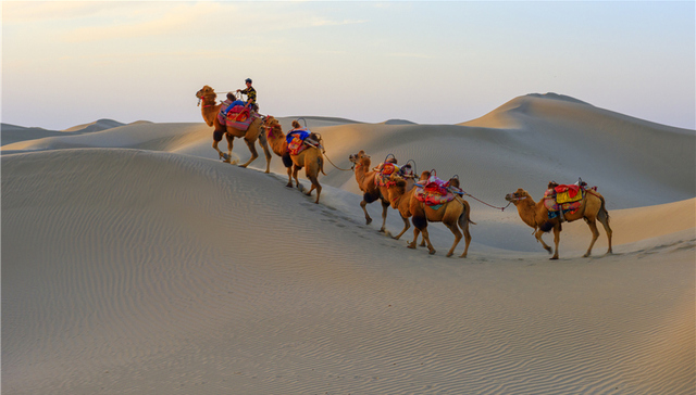 上海国际电影电视节,一带一路