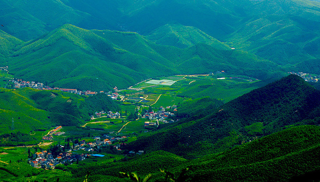【深度】莫干山，停滞的小镇与孙宏斌的难关