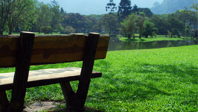 鲁能集团的绿色蓝图：构建绿色生产生活方式