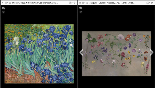 好棒，在家也可以逛博物馆了