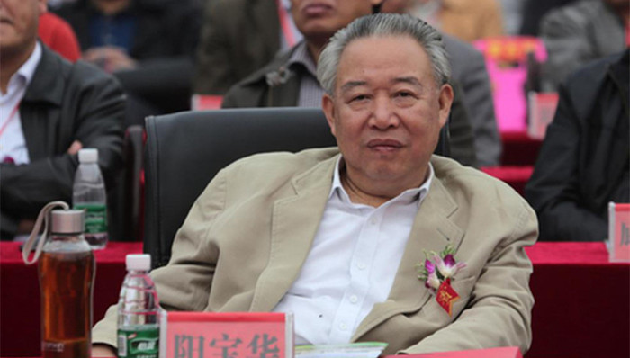 湖南省,政协原副主席,阳宝华