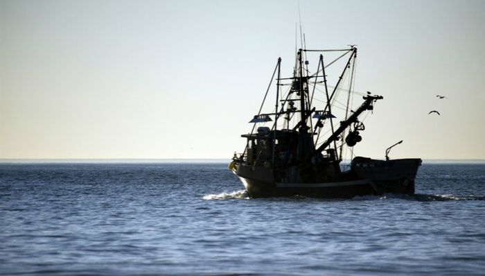 台湾渔船,大陆渔船,船员脱险