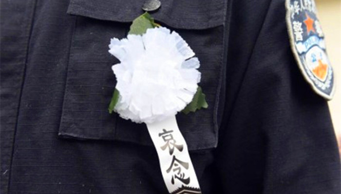 凉山民警,被枪杀,缉毒民警