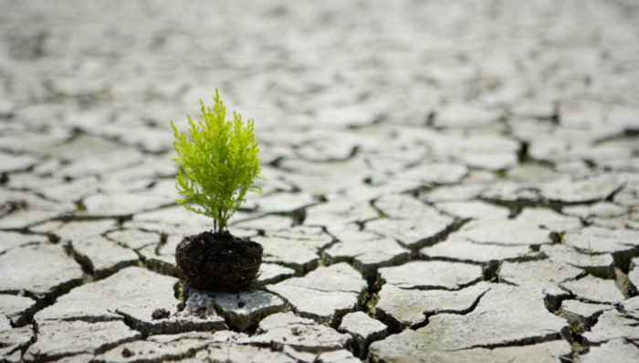 汛期,厄尔尼诺,南方暴雨