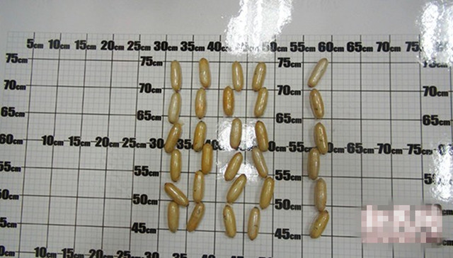 迪拜旅游,高龄产妇,,萍乡市副市长,,孙家群,绳金塔景区,上海海关,人体藏毒