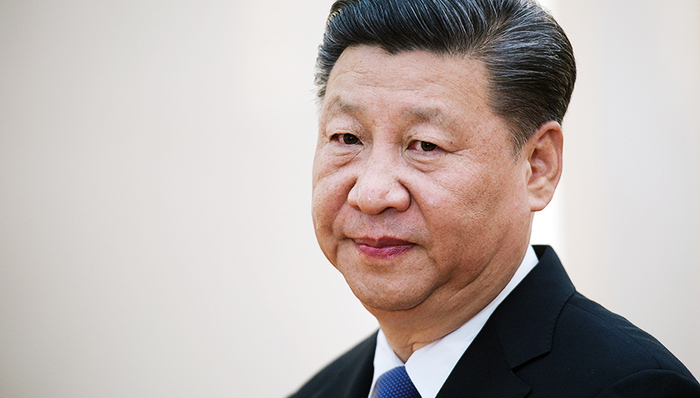 习近平,金砖国家,代表团团长