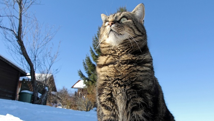 天下故事,惊奇的发现