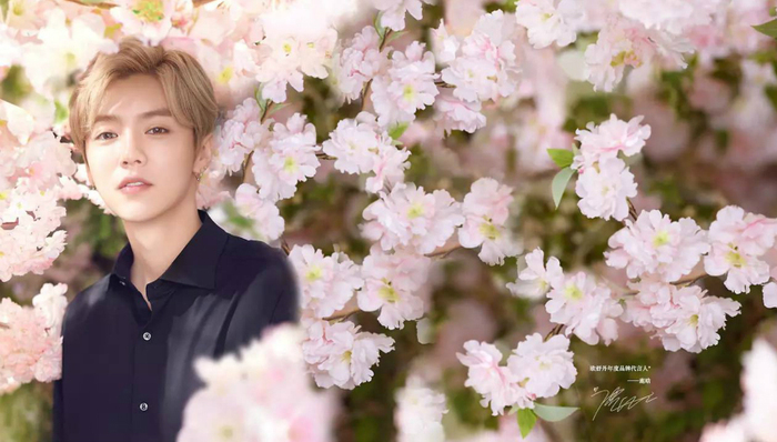 美妆产品,市场营销,社交媒体营销,小鲜肉,鹿晗