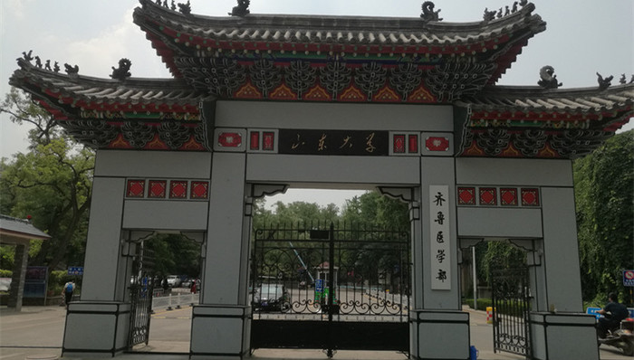 齐鲁医科大学,齐鲁大学,齐鲁医学院