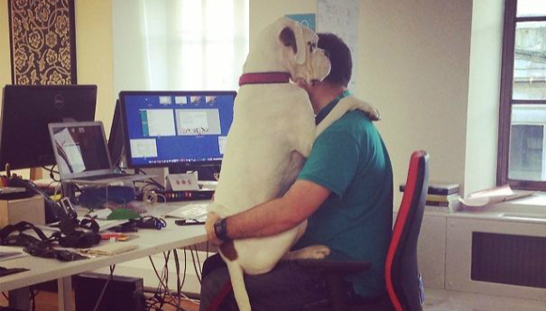 我家狗子怎么这样啊！