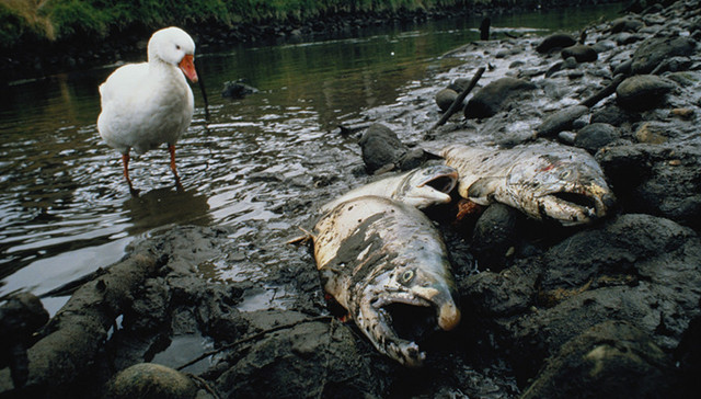 全国人大,公益诉讼,检察机关