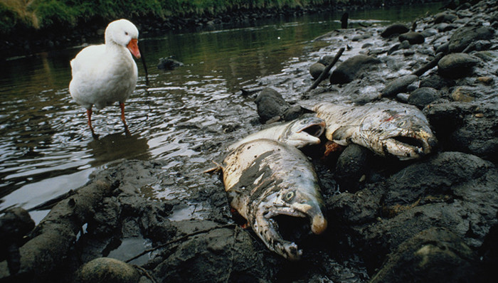 全国人大,公益诉讼,检察机关