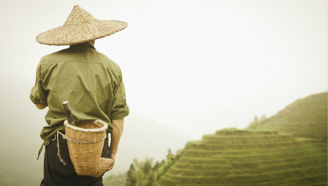 审计署：2016年全国农村贫困人口减少1240万