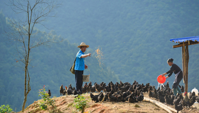 人民日报：十八大以来年均超千万人脱贫