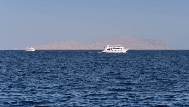 备受国内争议 埃及总统批准向沙特“还岛”协议