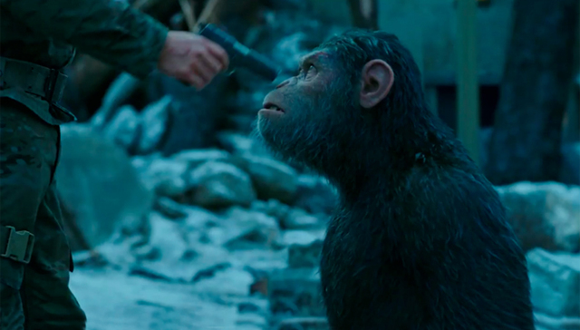 北美影评人盛赞《猩球崛起3》 可能是今夏最佳？