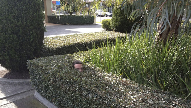 眼力题：试从图中找到园丁的位置