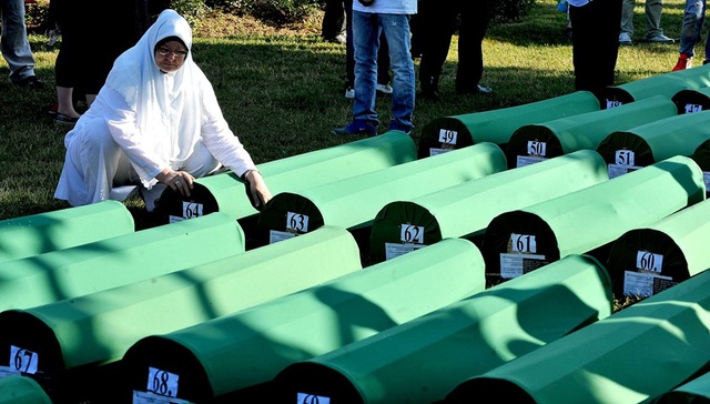 斯雷布雷尼察大屠杀,波黑,荷兰