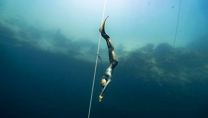 自由潜水,陆文婕,南极,Harbor,House,Life