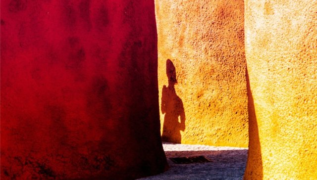 匿名社交应用接连倒闭，这家创企不仅没死反倒融资7000万美元