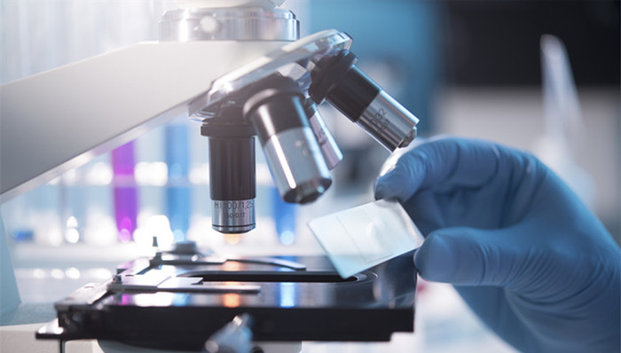 国家科学技术奖,初评,自然科学奖