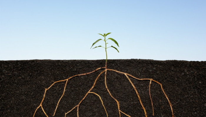 污染地块,土壤环境,治理措施