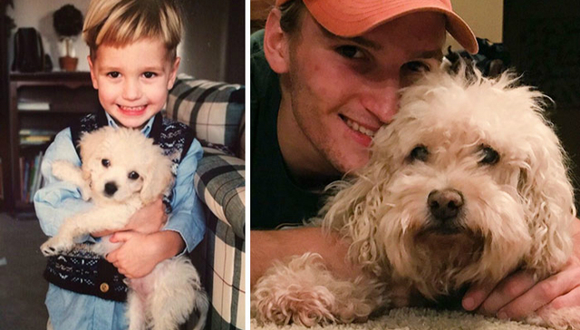 看着自家狗子长大真是太幸福了