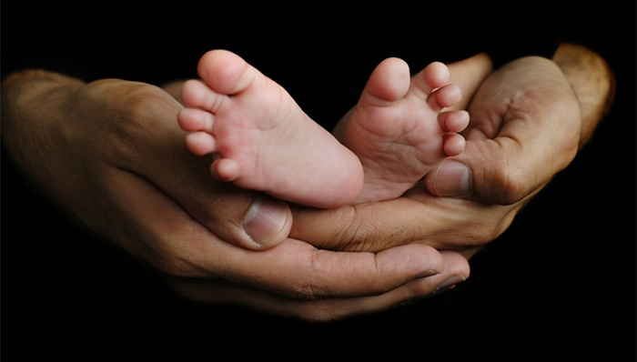 河北,禁止炒作,高升学率