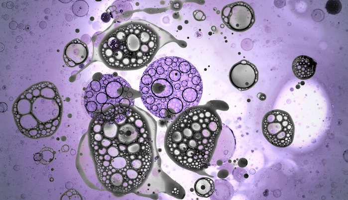 三胞集团最终拿下了那家美国生物医药公司 细胞免疫治疗药物有望在华上市了