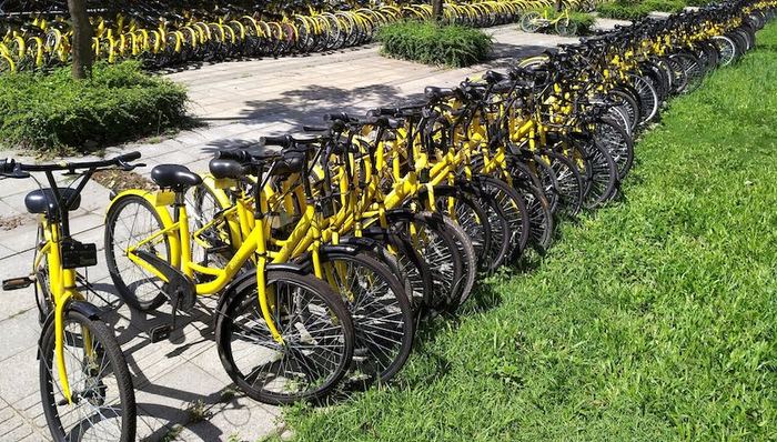 深圳,共享单车,停用令,广西,柳州,河段,警戒水位,南宁铁路局,列车,停运,折返,本科,青年人才,落