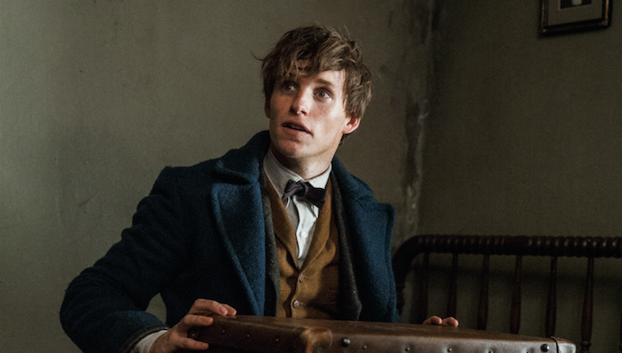 除了裘花扮演邓布利多，关于《神奇动物在哪里》续集我们还知道这些